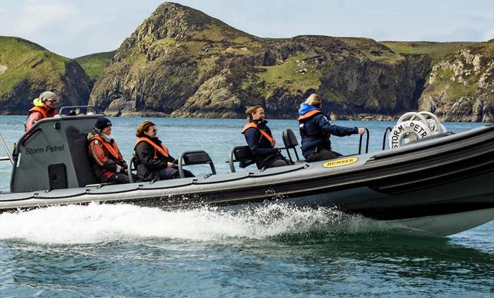 Storm Petrel, Ffion's RHIB out on the water!